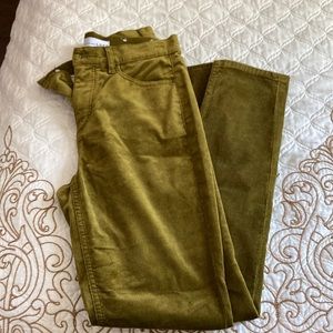 Loft pants soft velvet olive color skinny